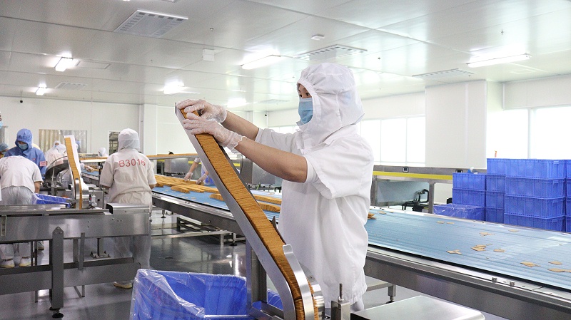 J9����ֱӪЯ�ּ��ѹ��ᷢչ���Ͷ����������� (4)