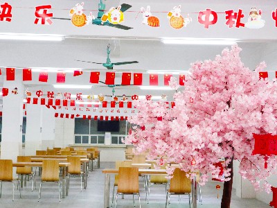 J9����ֱӪ-��������