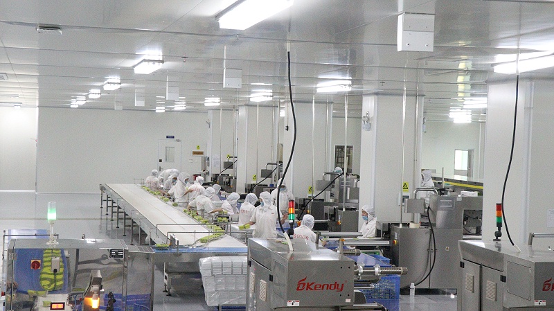 J9����ֱӪ-��ҵ����