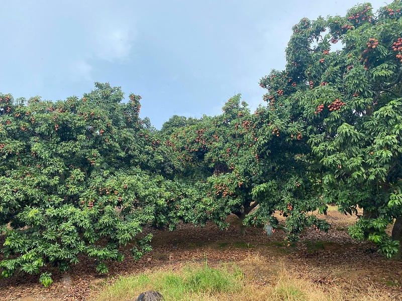 ���縣����J9����ֱӪ��֯ժ��֦�