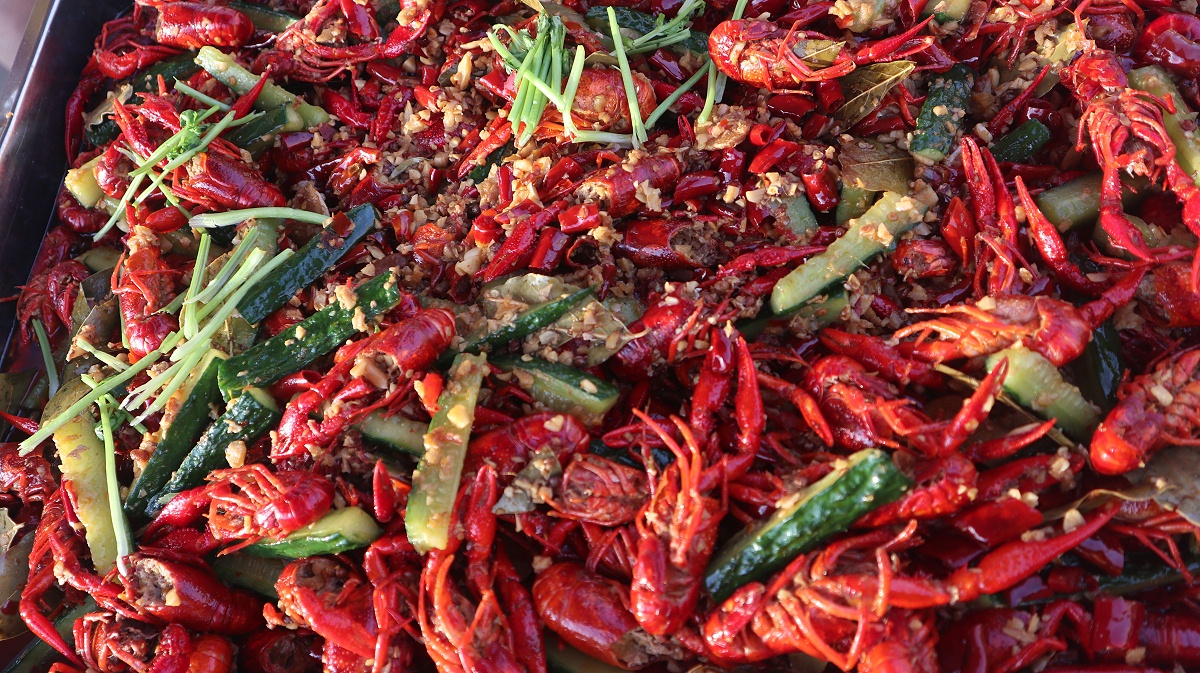 ��������Ϻ